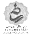 Engineering Org
