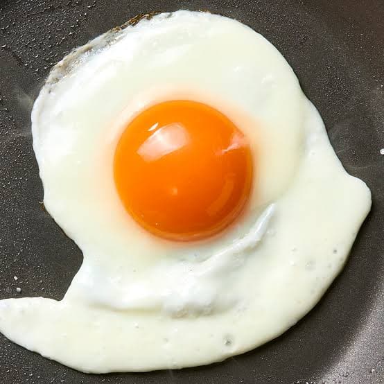 اصول تغذیه و جیره نویسی طیور گوشتی و تخمگذار