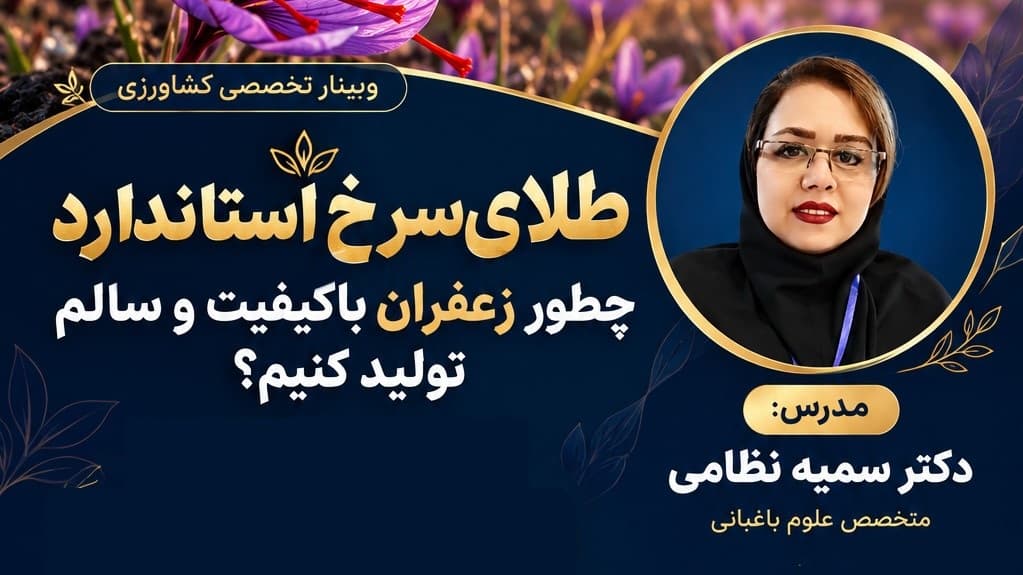 چطور زعفران با کیفیت تولید کنیم؟